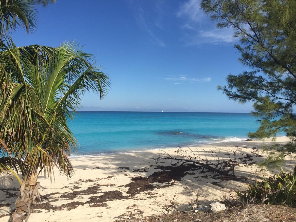 Bimini Seaside Villas - Pink Cottage With Beach View Alice Town  Exterior foto